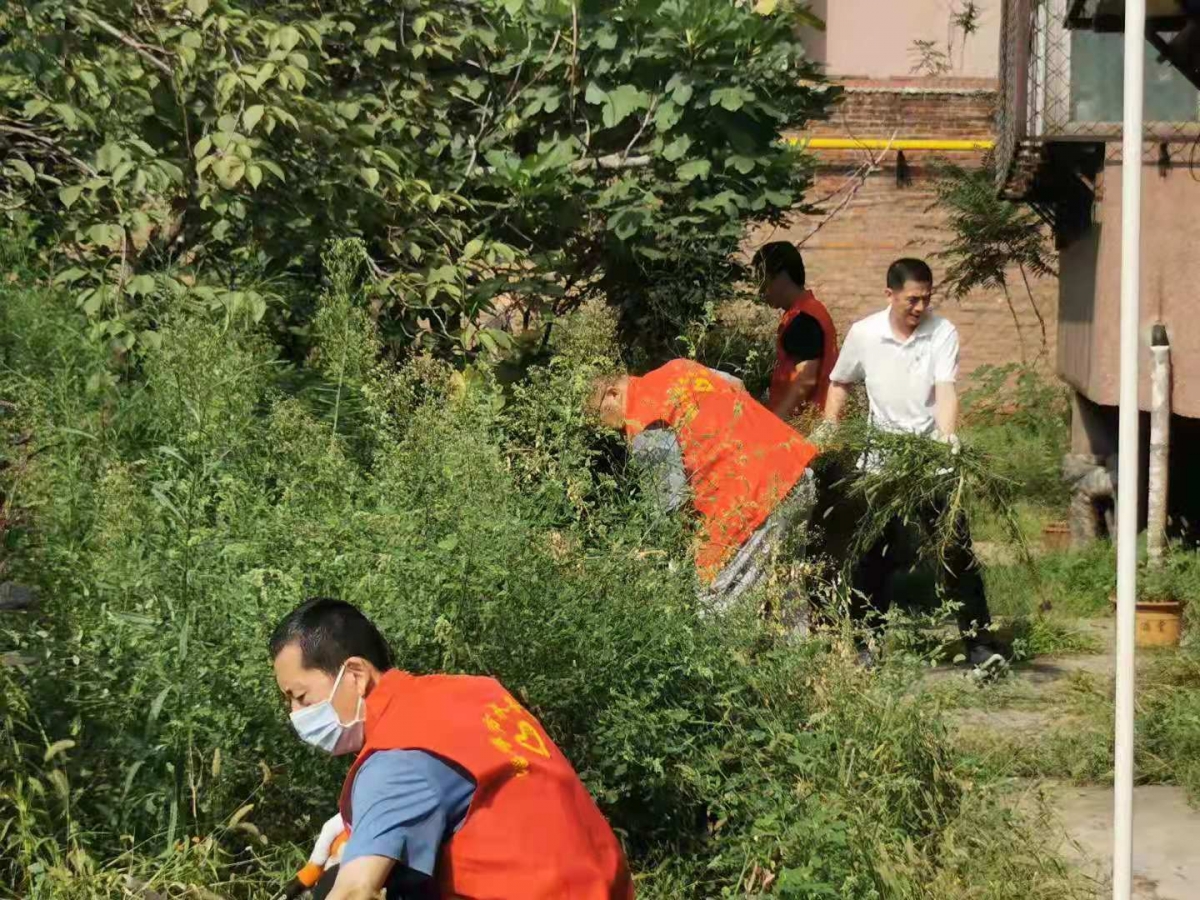 組織開(kāi)展“雙報到”社區志愿服務(wù)活動(dòng) (2)